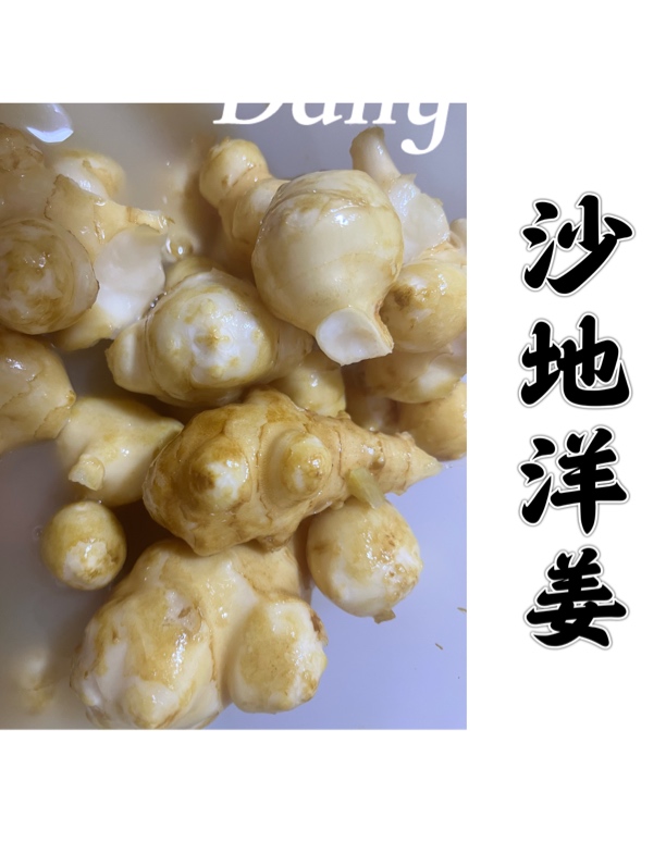 她姨姨内蒙古她姨姨酸辣洋姜3斤装