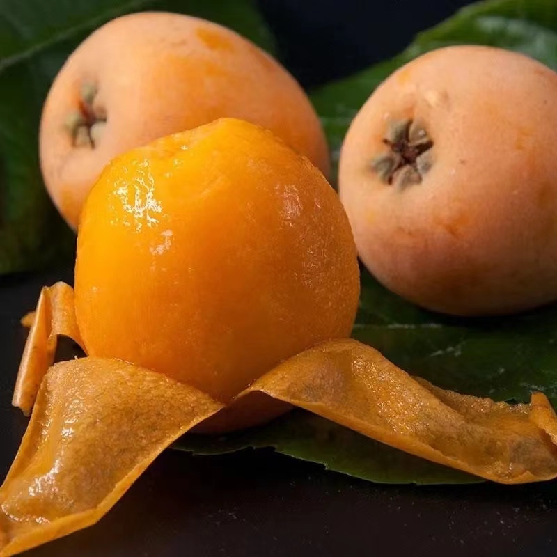 云南高山枇杷新鲜枇杷大枇杷2-5斤应季水果树上熟 孕妇琵琶水果