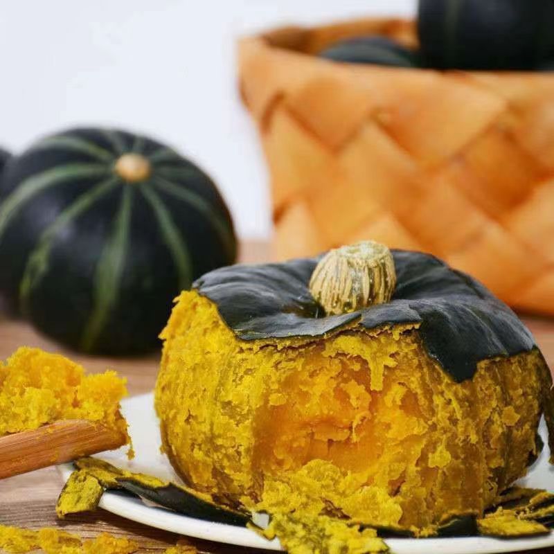 正宗惠和一号贝贝南瓜进口种源