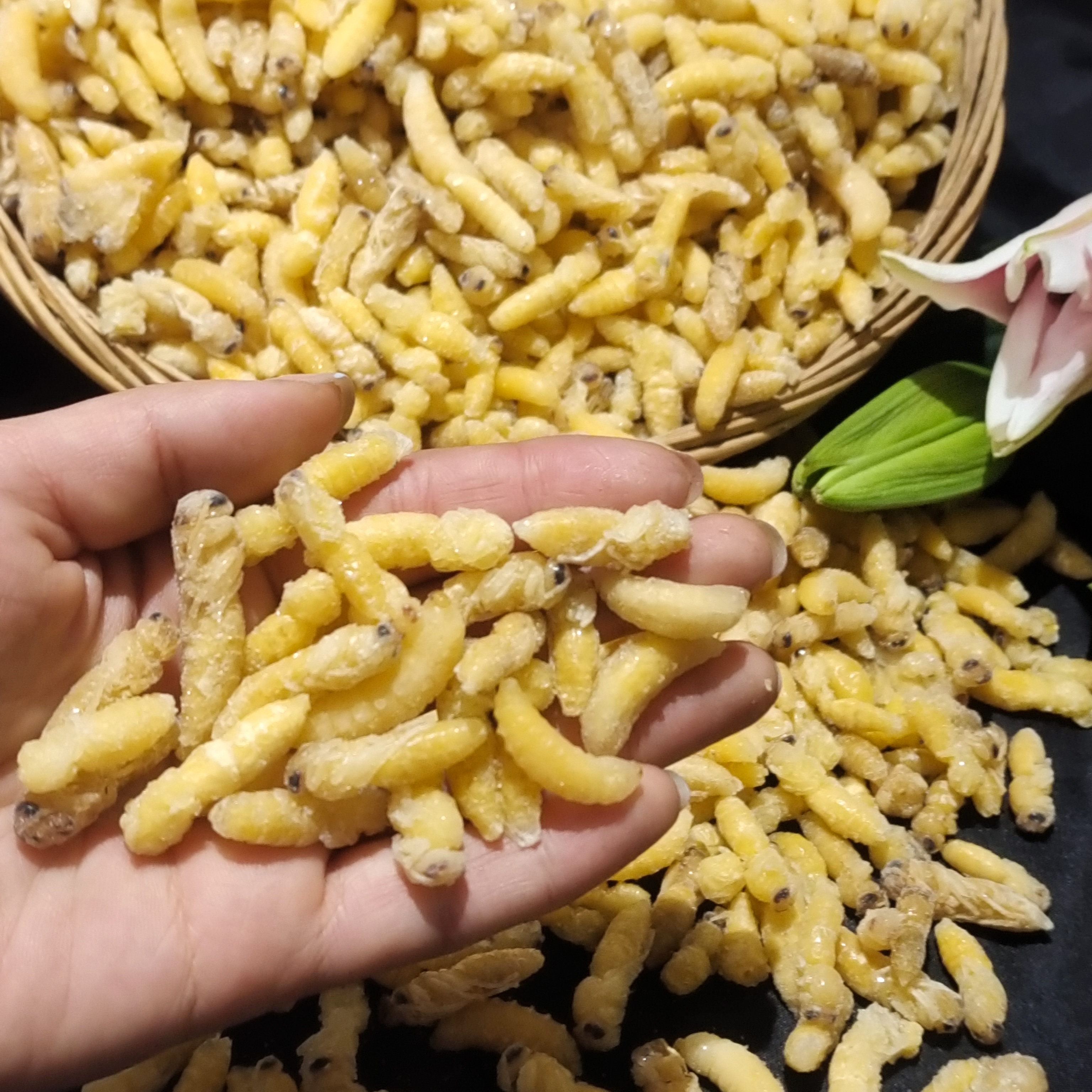 深山马蜂蜂蛹虫子新鲜特产冷冻泡酒500g顺丰包邮马蜂窝山坑螺金环