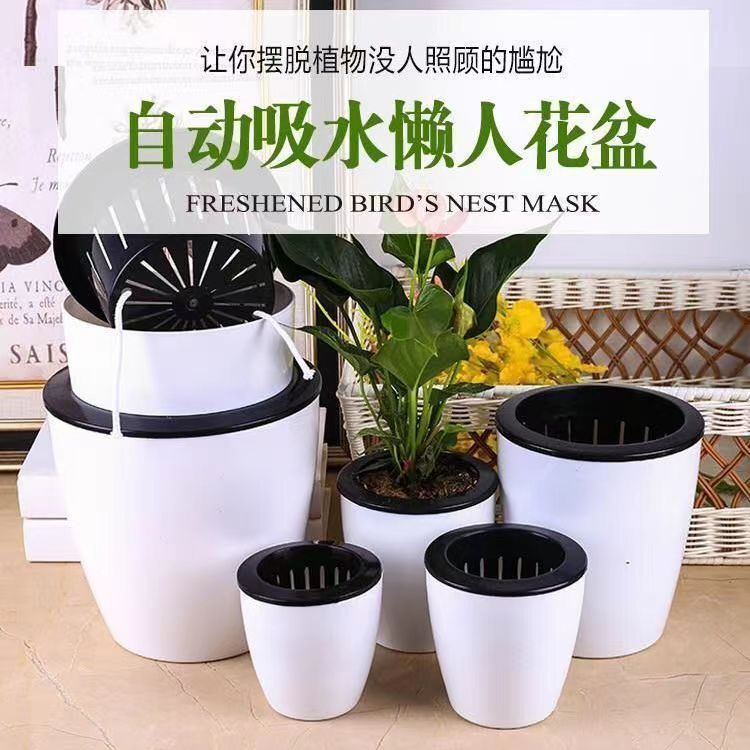 懒人花盆自动吸水绿萝用懒人盆绿植特价吊兰水培自吸盆塑料吸水盆
