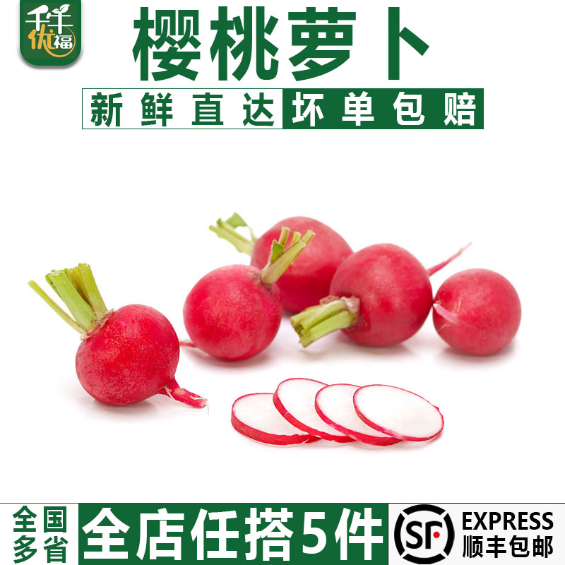 千牛优福樱桃萝卜500g新鲜沙拉蔬菜迷你小红萝卜小圆萝卜雕花食材