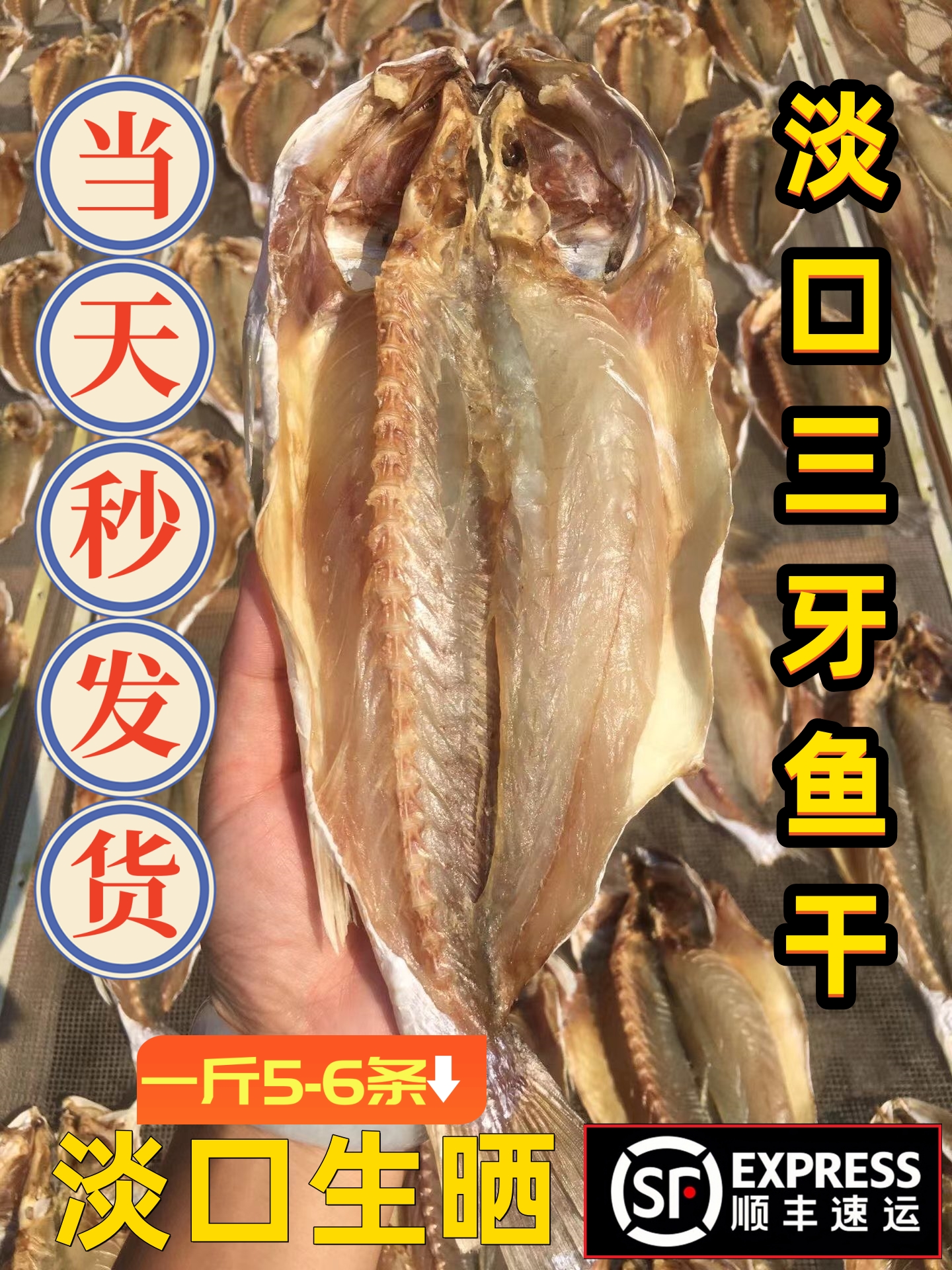 台山生晒三牙鱼干肉质鲜嫩淡口晒干下饭菜三牙鱼干500g顺丰包邮