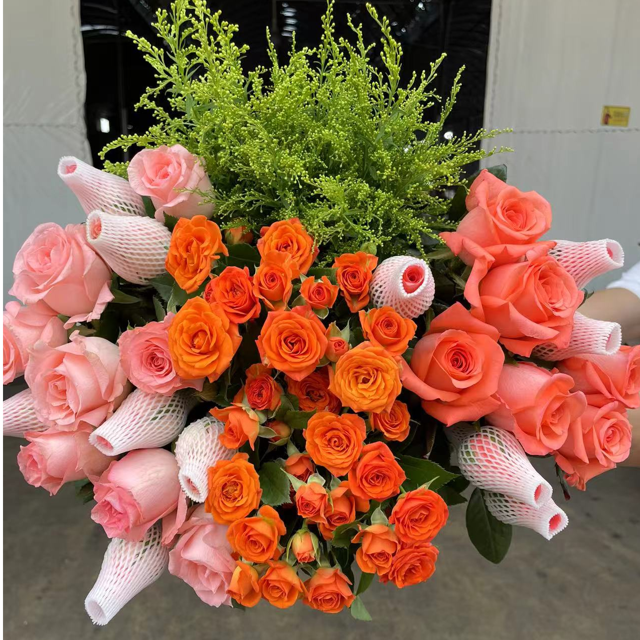 【爆款】戴安娜玫瑰6枝+影星玫瑰6枝+橙芭比3枝+配草5枝 云南鲜花
