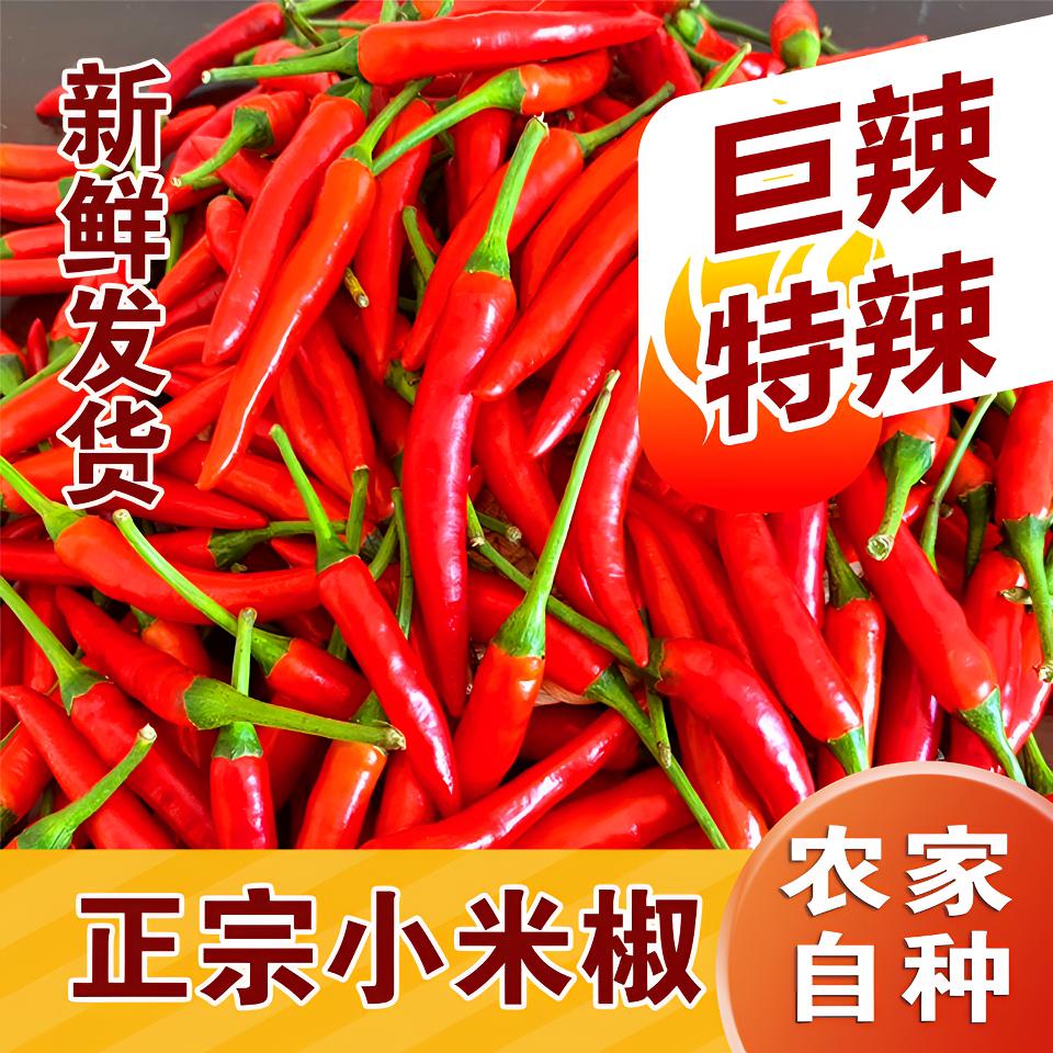 【现摘现发】新鲜香辣小米椒朝天椒小米辣红辣椒剁椒泡椒特辣包邮