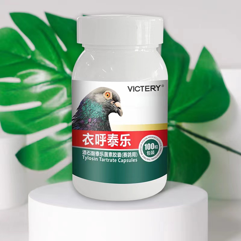 汉诺威衣乎泰乐 鸽子赛鸽信鸽用品