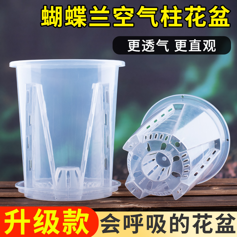 【浪漫七夕礼】透明透气控根盆兰花水苔蝴蝶兰专用花盆塑料花盆家用