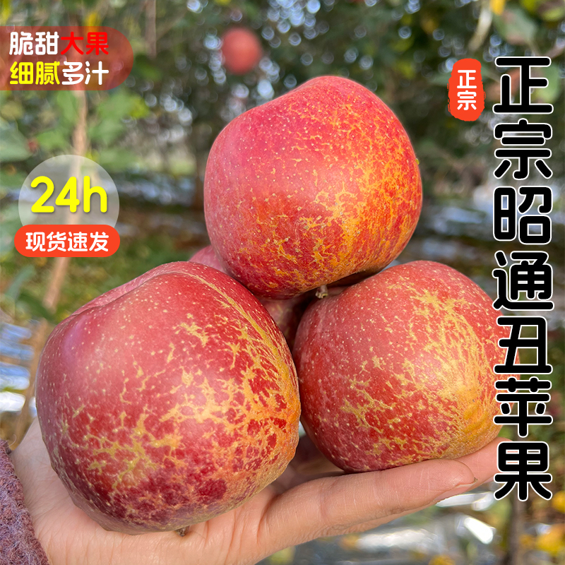 正宗云南昭通丑苹果高原农家种植新鲜水果脆甜多汁整箱包邮
