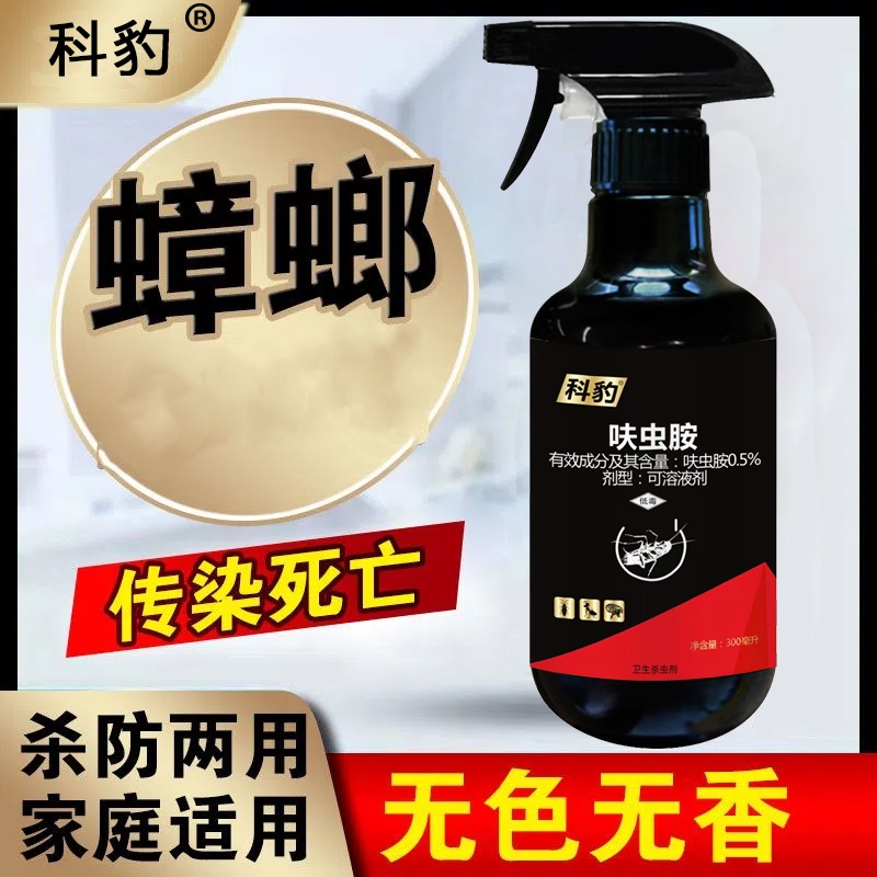 家庭蟑螂药宾馆室内厨房除灭杀蟑螂非无毒神器喷雾剂强效出租房