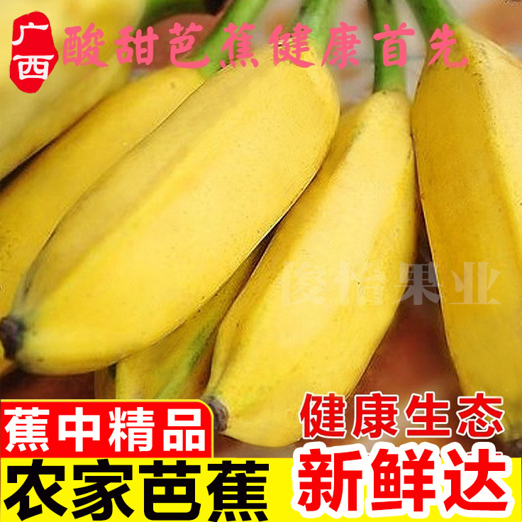 广西芭蕉产地直发当季新鲜水果牛蕉大香蕉生态牛角蕉自然2/5/10斤