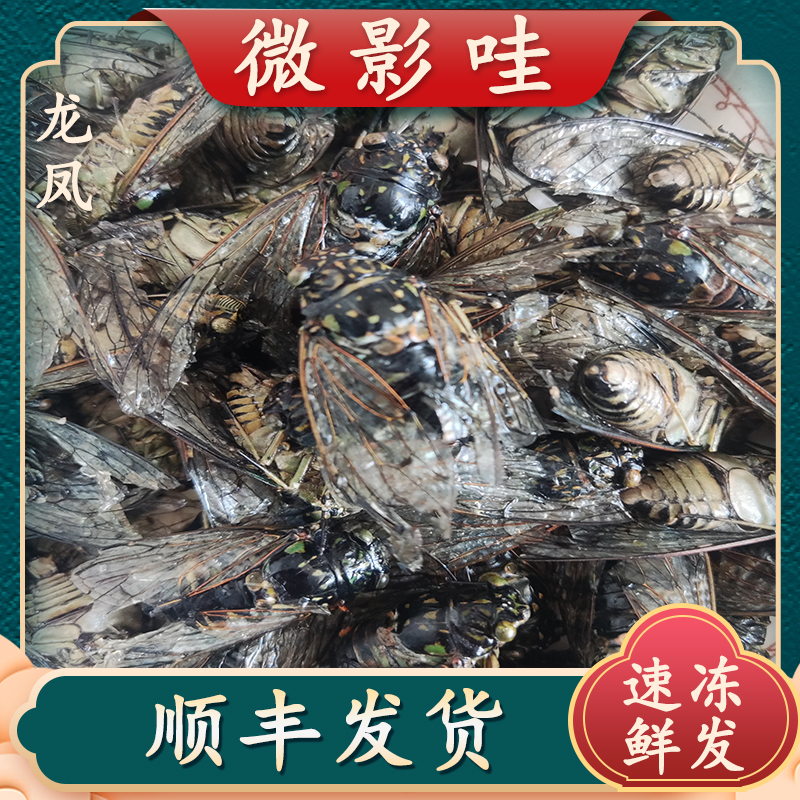 魏婴哇微影哇山东冷冻顺丰发货速冻小香蝉好吃微影哇魏婴哇小香蝉