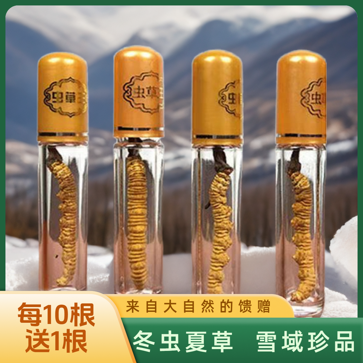 【有礼5福利】10送1冬虫夏草送礼自用煲汤西藏区非那曲青海滋补虫草