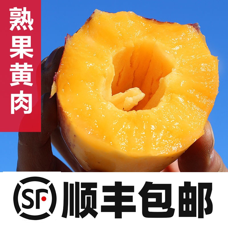 【顺丰快递】甘肃沙漠人参果3/8斤黄肉人生果长果当季新鲜水果
