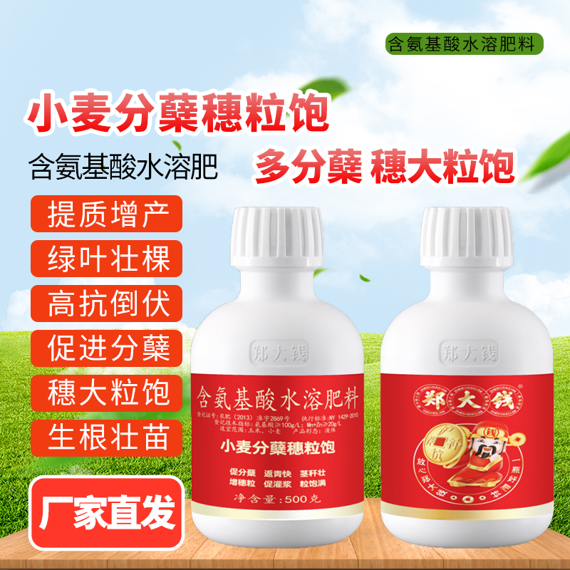 小麦专用分蘖剂 小麦分蘖穗粒饱 年前促分蘖生根壮苗抗倒伏抗冻