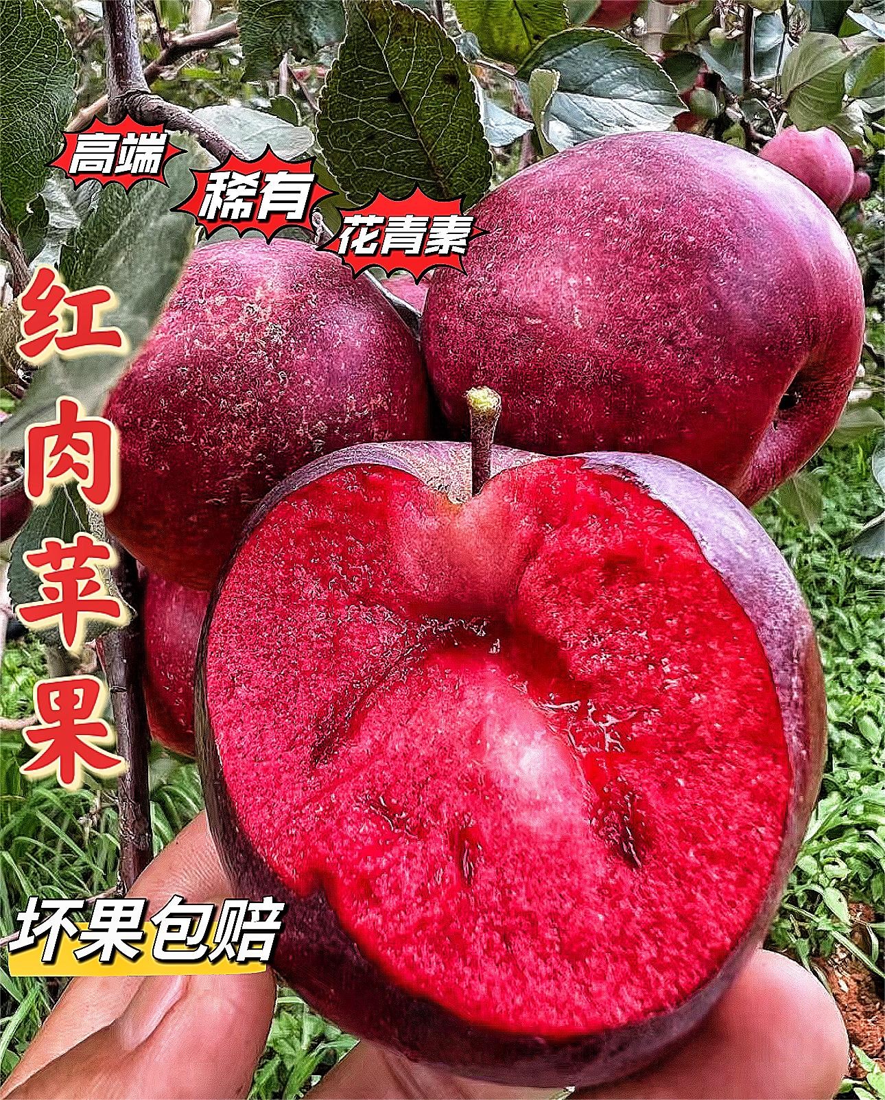高端红心爱情红肉苹果礼盒新鲜采摘酸甜可口满花青素孕妈最爱山东