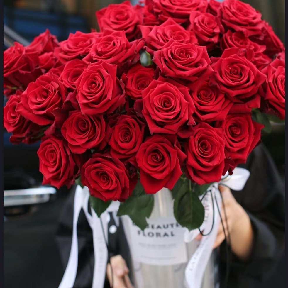 1-红玫瑰卡罗拉高原红等发货直发新鲜美观美观花店批发鲜花