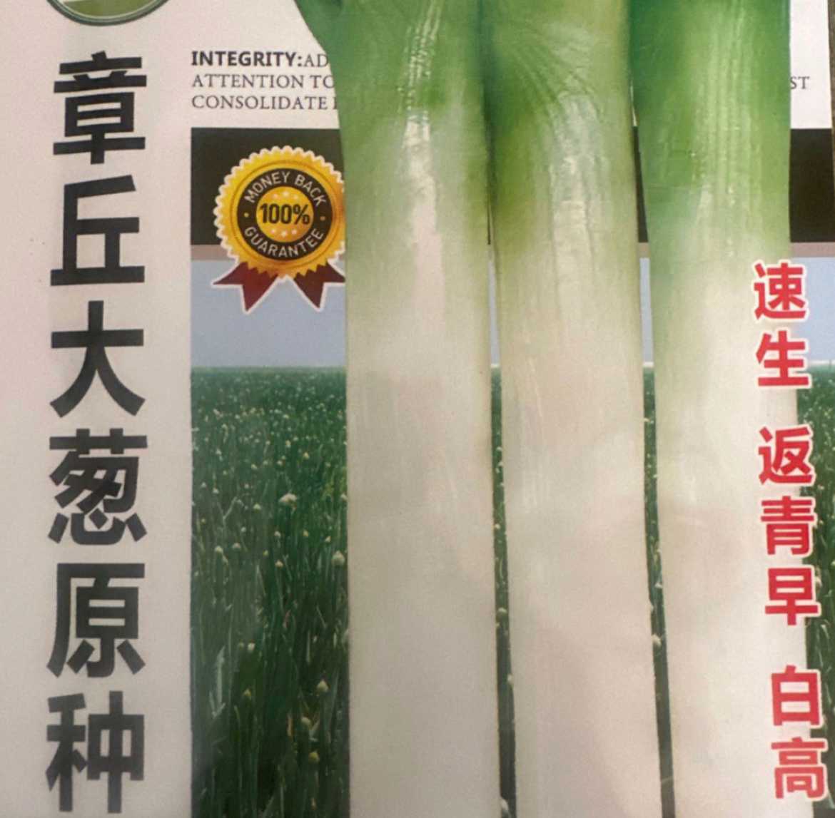 山东章丘大葱原种