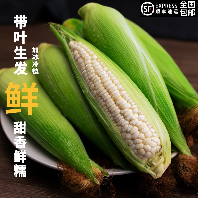萍萍家【带叶鲜发 冷链运输】甜糯玉米新鲜粗粮轻食孕妇现摘包邮