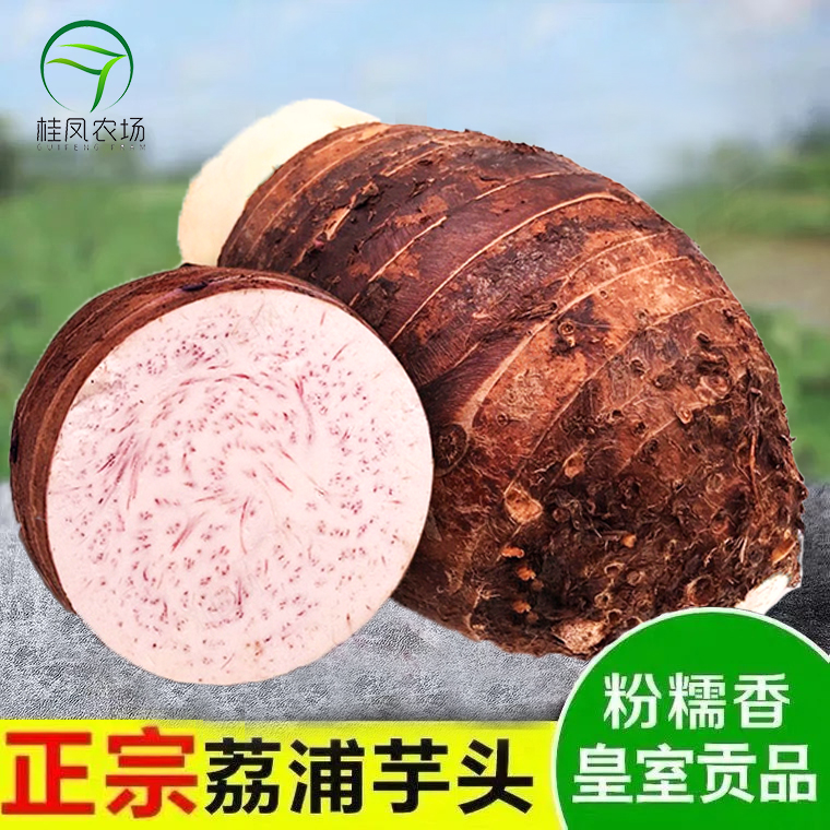桂凤农场正宗广西荔浦芋头香芋大紫芋新鲜产地农场现挖现发当季