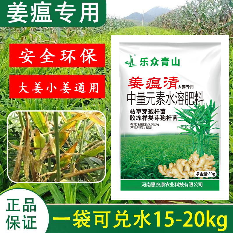 浓缩姜瘟清大姜小姜生姜小黄姜通用干枯黄叶茎基腐单质肥料