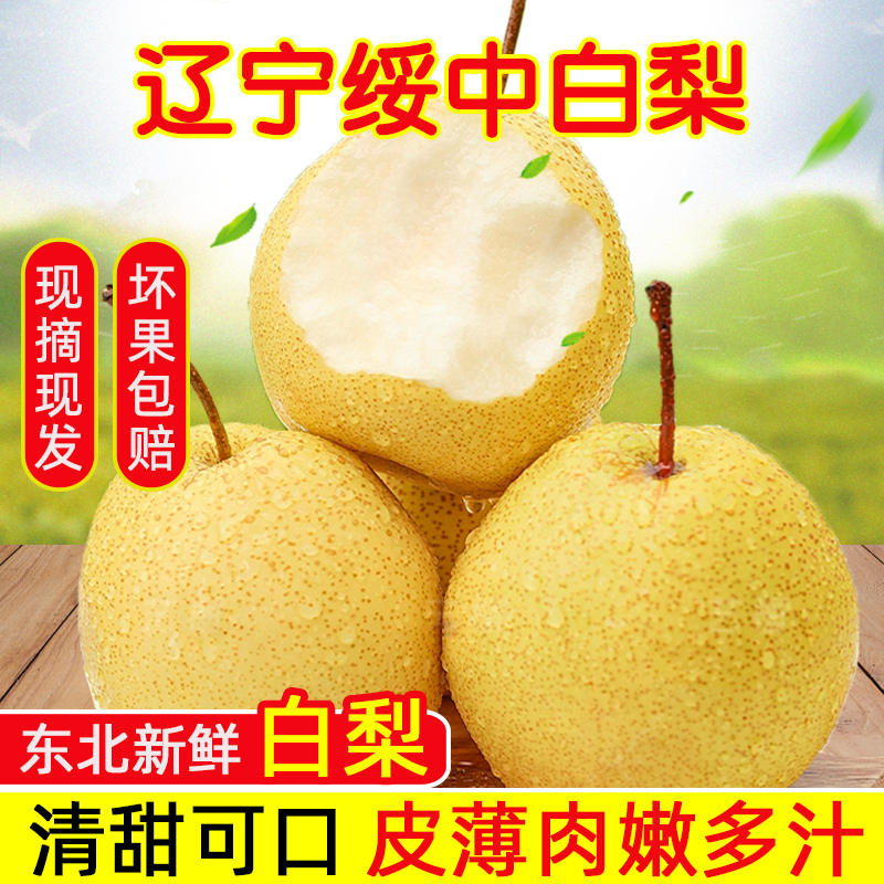 正宗绥中整箱梨脆甜薄皮黄金梨新鲜应季水果现摘东北白梨超甜包邮