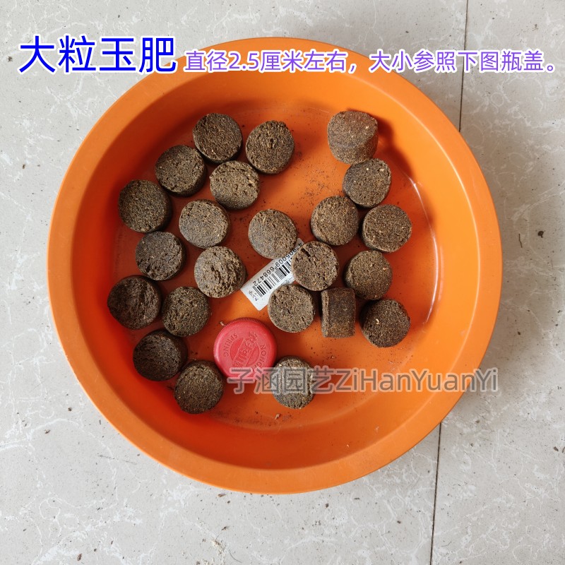 胡老师推荐君子兰玉肥盆景有机颗粒肥大粒小粒腐熟玉肥金弹子肥料