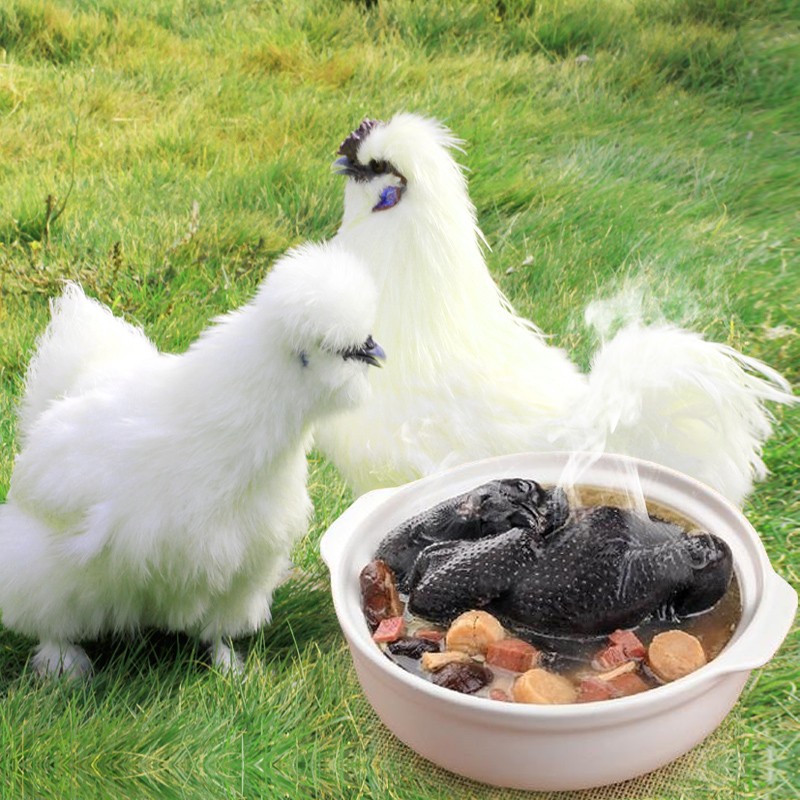 4只放养白凤土乌鸡新鲜宰杀