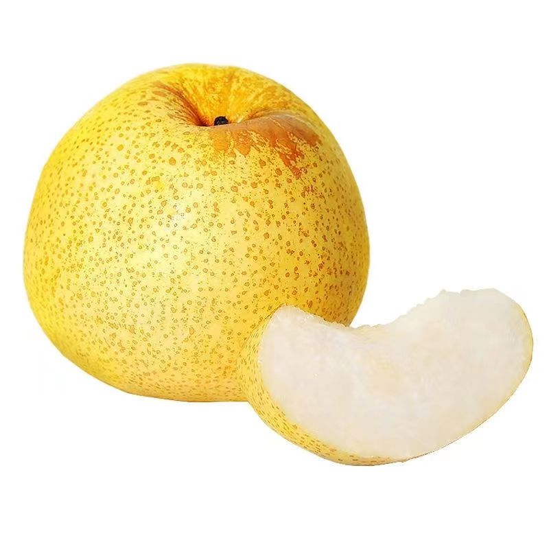 正宗新鲜山西贡梨酥梨雪梨子新鲜水果应当季脆甜现货速发整箱包邮