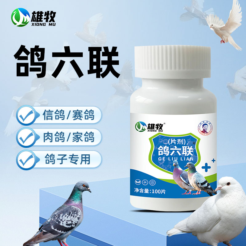 【雄牧】鸽六联鸽用片剂家禽养殖赛鸽信鸽鹦鹉肉鸽使用产品养殖常备