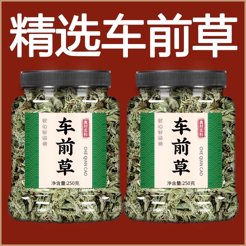 车前草正品中药材车前草干货罐泡茶野生泡水喝的功效无硫夏日尝鲜