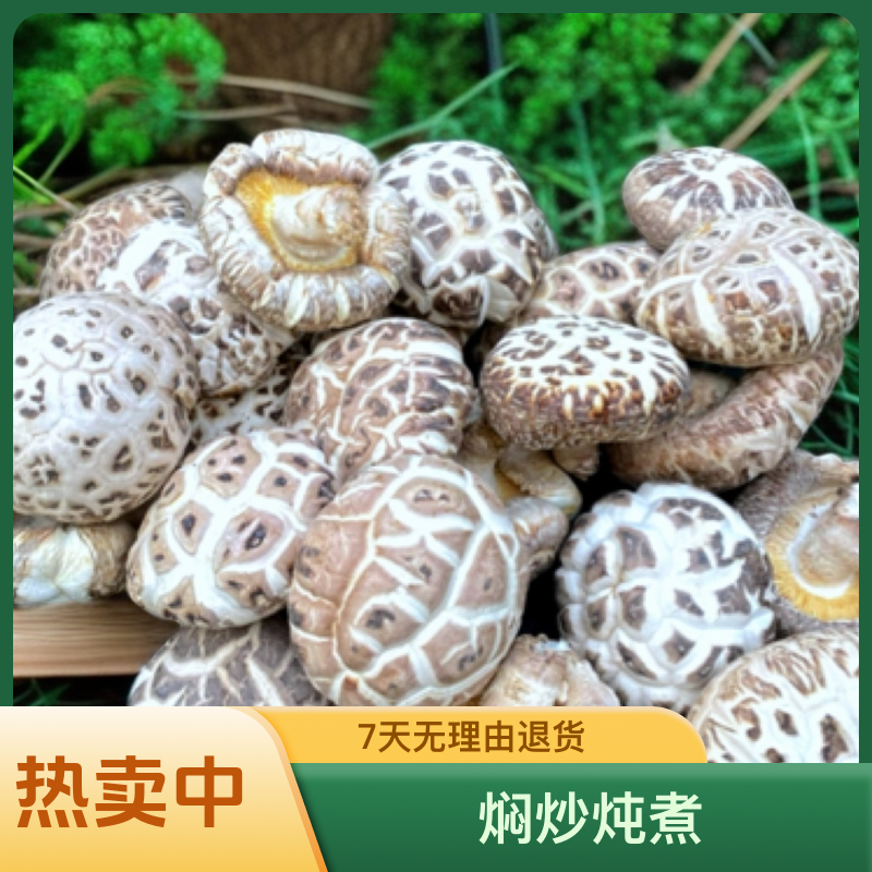 随州大花菇干货直径6到7厘米香味浓郁肉厚