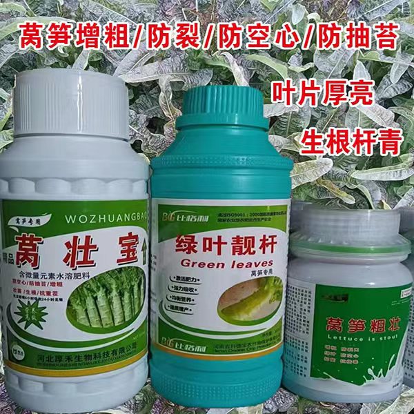 莴壮宝莴笋 绿叶靓杆 莴笋粗壮 3瓶 一套