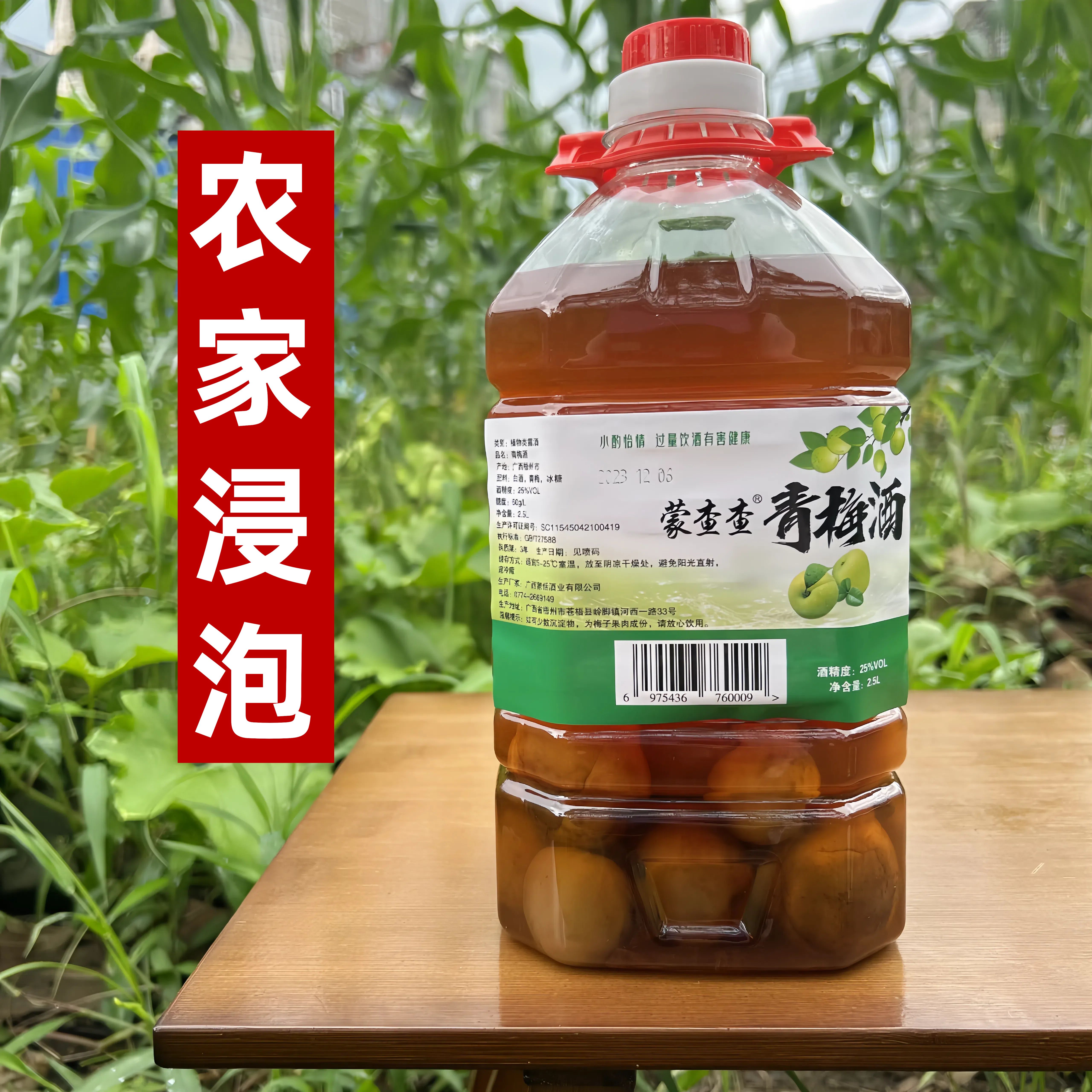 广西青梅酒手工浸泡果酒梅子酒女士低度农家自酿水果甜酒