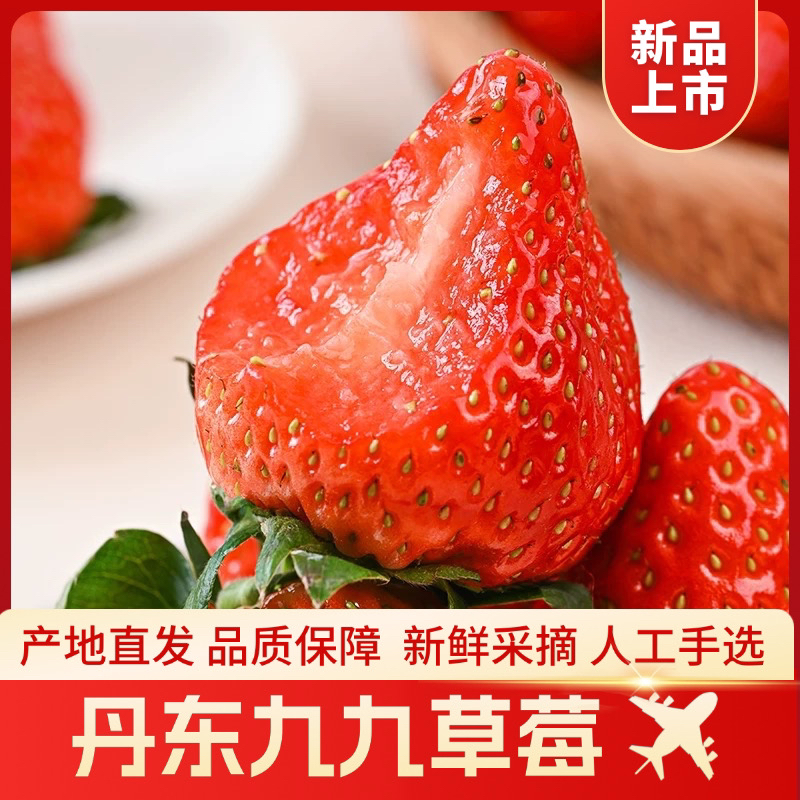 【现摘现发】正宗丹东九九草莓当天新鲜采摘应季顺丰空运包邮