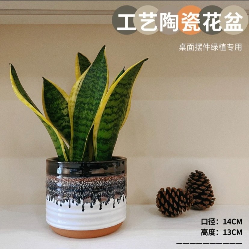 （主播补贴）微瑕流苏陶瓷花盆口径14高14陶瓷花盆创意摆件