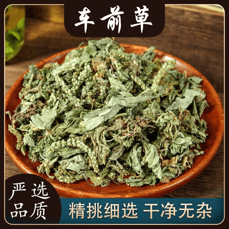 车前草 甄选原产地自然晾晒高品质车前草干净无杂煮水泡水甘山药