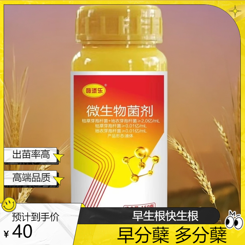 小麦拌种促根壮苗出苗率高早生根快生根早分蘖苗齐苗壮苗匀增产