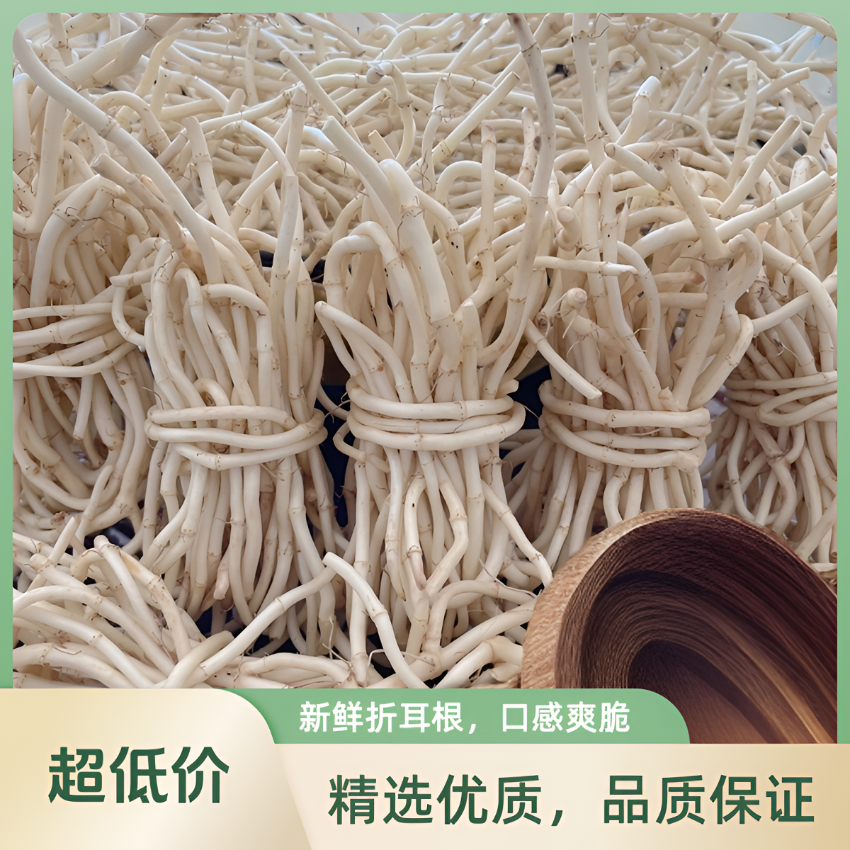 折耳根嫩根鱼腥草新鲜蔬菜凉拌下饭菜现挖即食