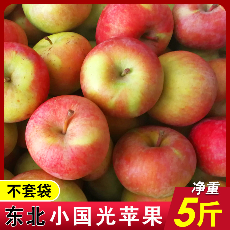 东北小国光苹果 笨果 不打蜡 不套袋 5斤包邮 东北特产 小果光