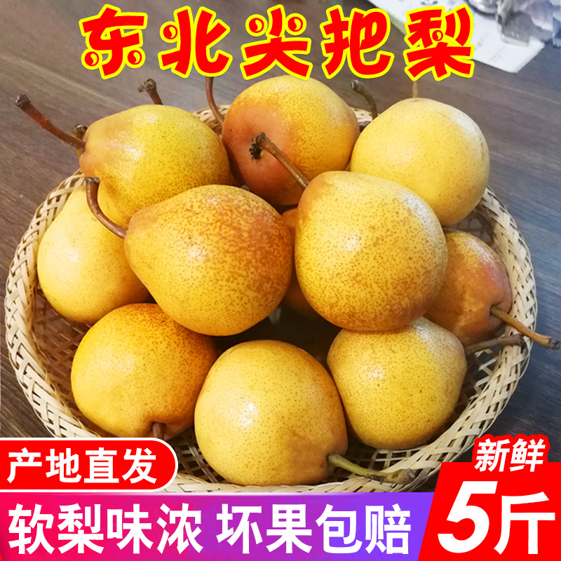 东北尖把梨尖把酸葫芦梨歪把梨5斤包邮东北特产 软梨小酸梨秋子梨