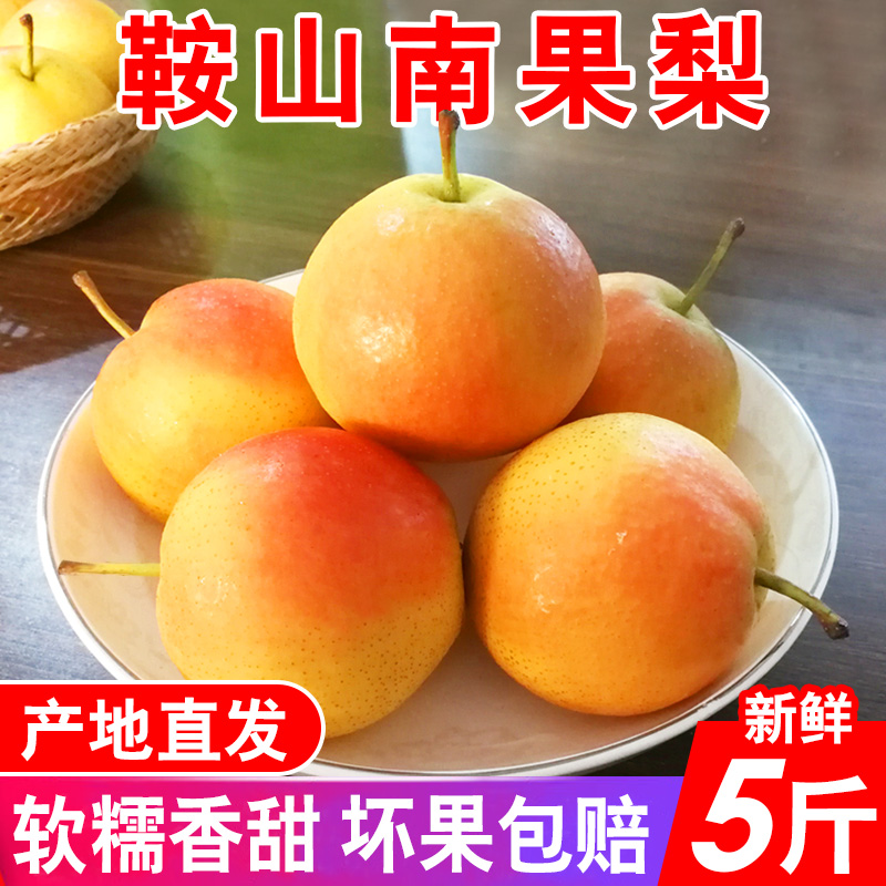 南国梨 5斤包邮 南果梨 辽宁鞍山特产南水梨小香水梨小酸梨安果梨