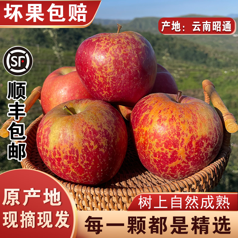 【顺丰包邮】正宗云南昭通冰糖心丑苹果新鲜水果脆甜多汁精品5/9斤