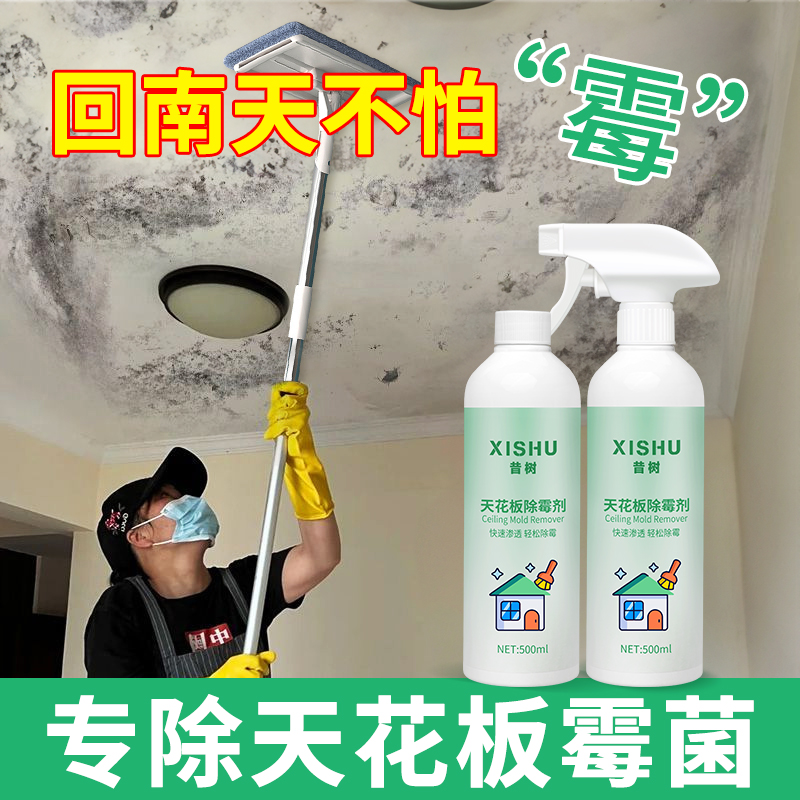 墙体高度浓缩除霉剂天花板去霉斑白墙壁防发霉清除去霉味修复剂