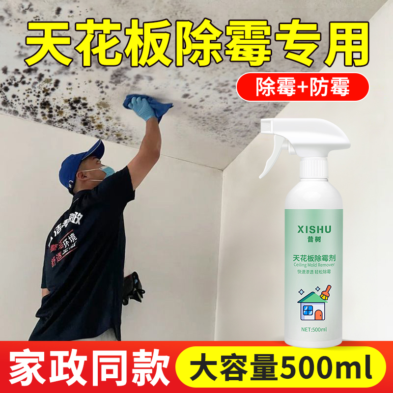 回南天墙壁发霉除霉剂去霉斑霉菌墙体墙面处理天花板神器家用白色