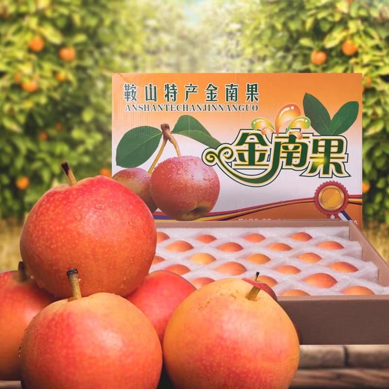 精品南果梨鞍山特产细皮南果梨海城南国梨送礼款精品装24颗