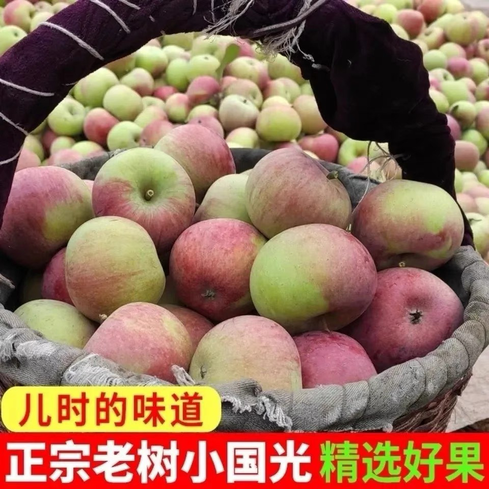 东北国光小苹果5斤顺丰包邮新鲜水果正宗老品种小果光酸甜口感