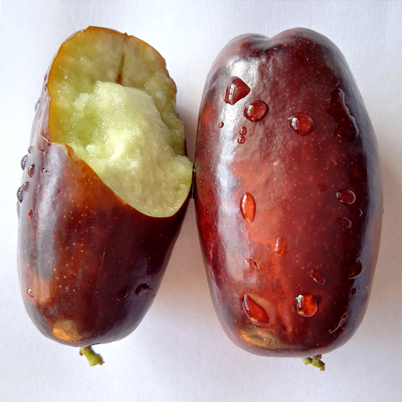 【顺丰包邮】正宗宁夏灵武长枣大枣红枣皮薄水果马牙枣脆甜多汁鲜脆