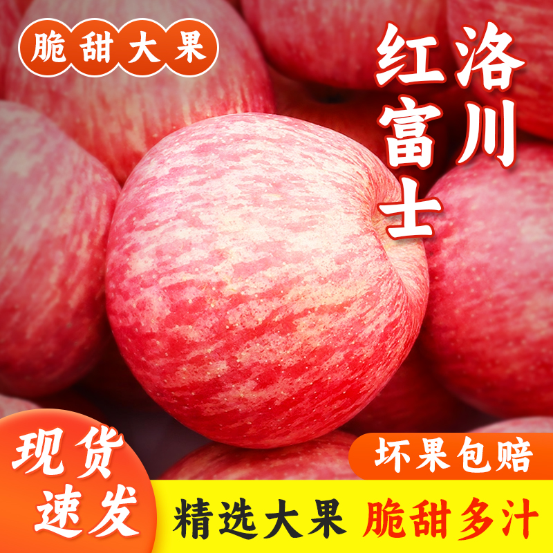 【良周•迹忆】2025年新果陕西延安洛川红富士苹果4.5斤装 单果150g+