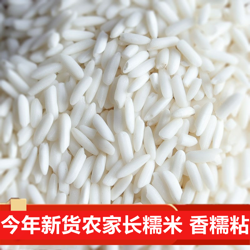 农家新货长糯米 白糯米长江米香糯米酒酿包粽子做饭团糍粑新米粥