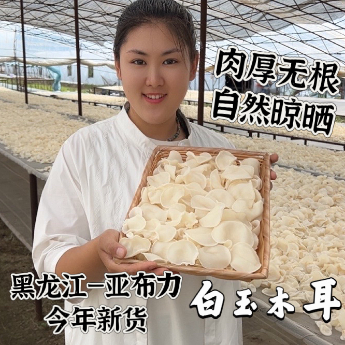 东北白玉木耳2025年新货无增重无熏硫自然晾晒一斤泡发十斤以上